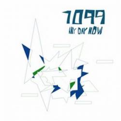 1099 : Any Say Now